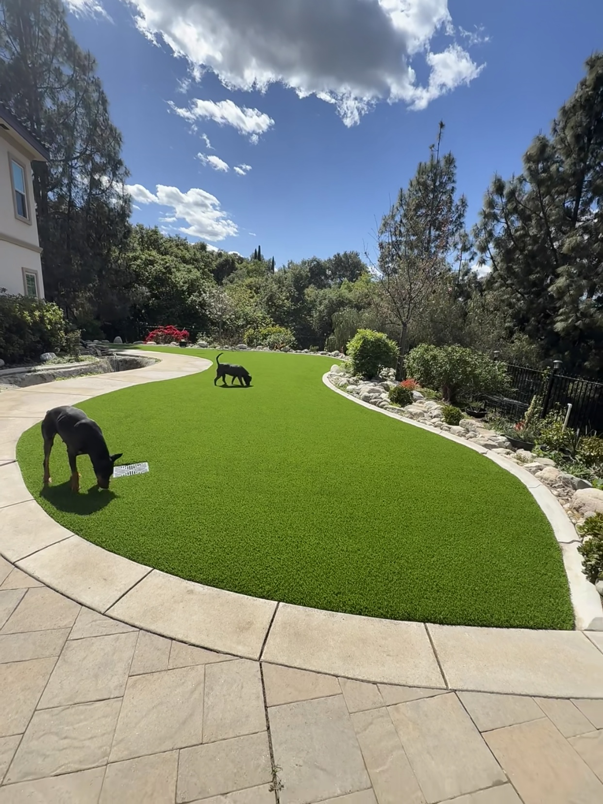 人造草坪真的需要“浇水”降温吗？