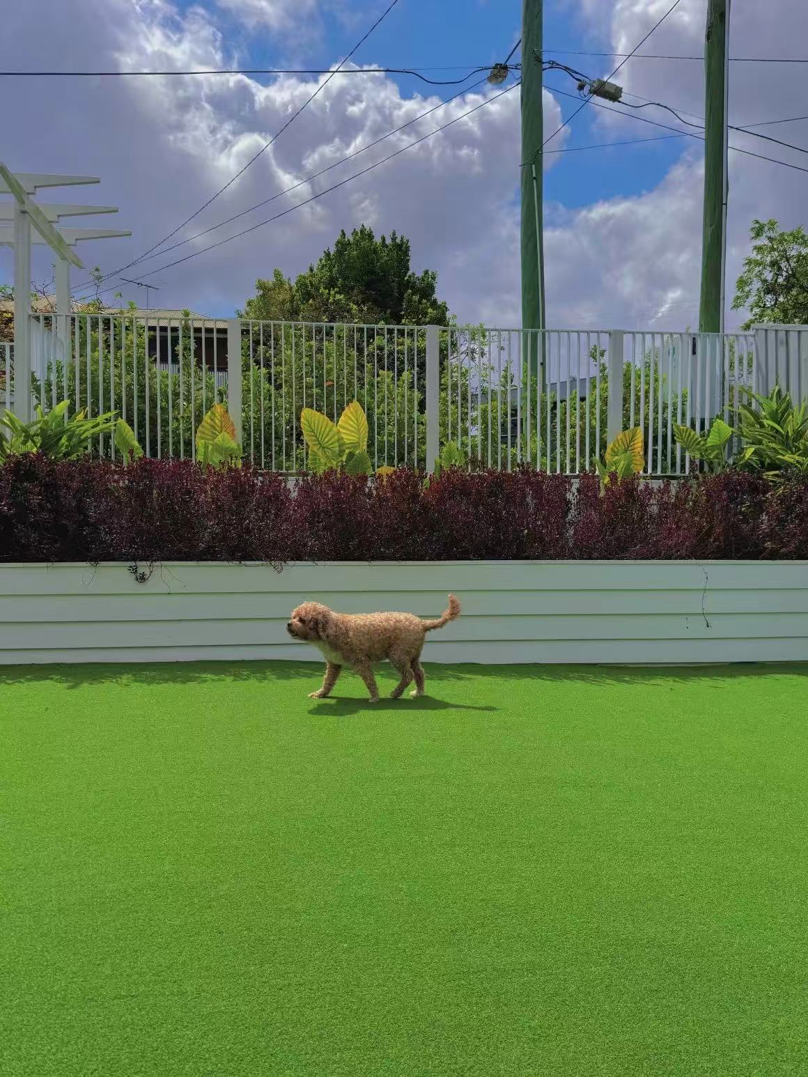 人造草坪施工流程全解析